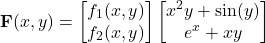 \[\mathbf{F}(x, y) =\begin{bmatrix}f_1(x, y) \\f_2(x, y)\end{bmatrix}\begin{bmatrix}x^2 y + \sin(y) \\e^x + xy\end{bmatrix}\]